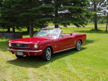 Brownie2004 profile photo