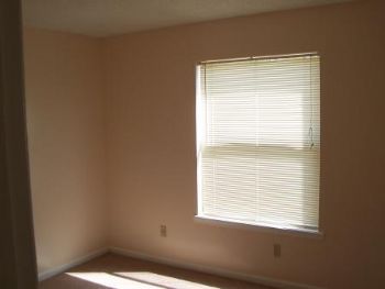 widecd5 profile photo