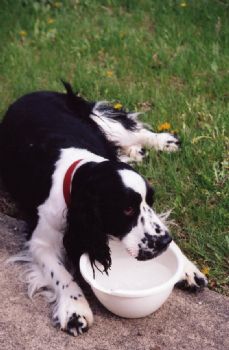 jwolery profile photo