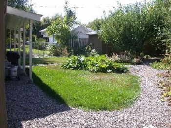 Fish_stew profile photo