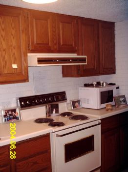 promodela profile photo