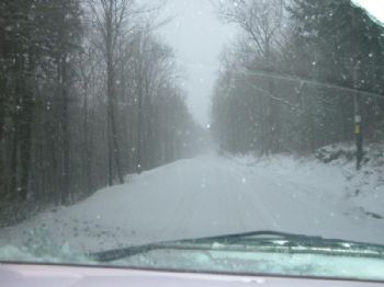 yasmina profile photo