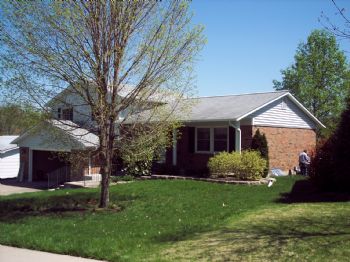 sracine profile photo