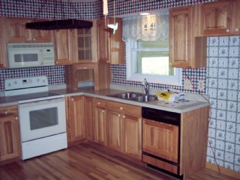 sracine profile photo