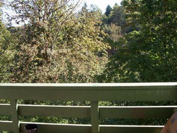 apt217 profile photo