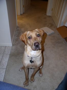 apalmer1 profile photo