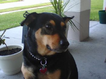 tevans9091 profile photo