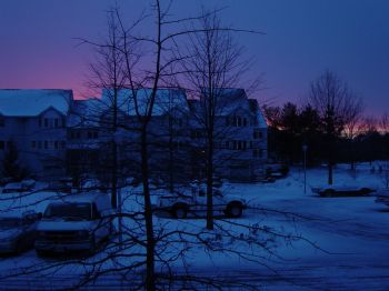 Emerald profile photo