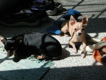 rinney profile photo