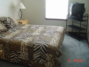 LOSCABOS profile photo