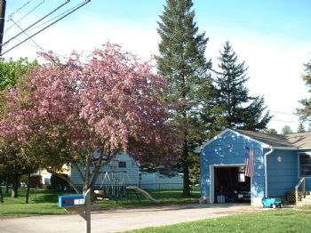 Dan03301 profile photo