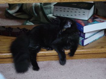 jusasec profile photo