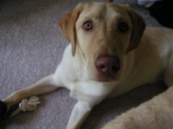 wmusial profile photo