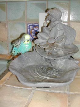 harkitslark profile photo