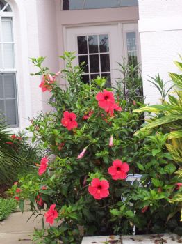 greghems profile photo