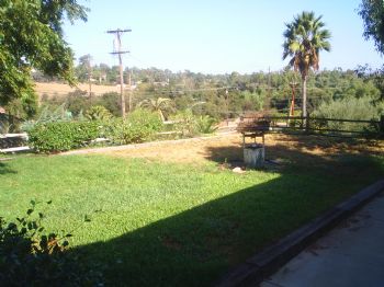 allurewmn profile photo