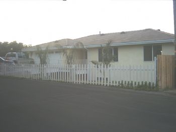 clingepr profile photo