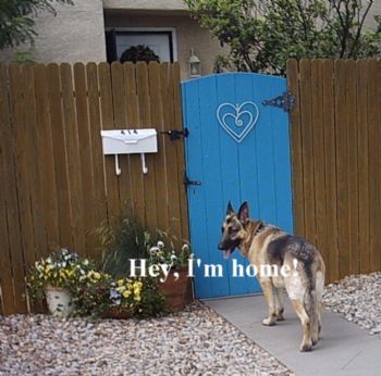 Sshawnann profile photo