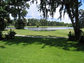 clivec profile photo