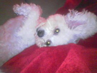 jacklynkay profile photo