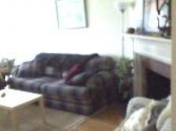 roomtworent profile photo