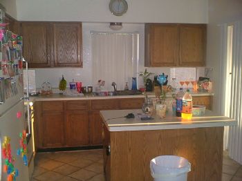 shannonhein profile photo