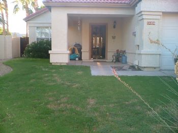 shannonhein profile photo