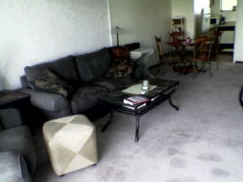 zisgerry profile photo