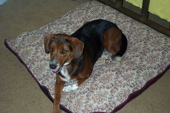 hectorrio profile photo