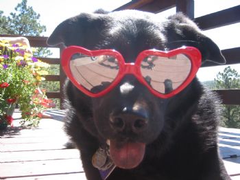 Maralee profile photo