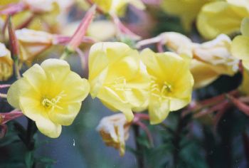 Lisagar profile photo