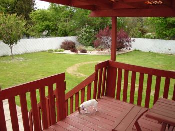 cryptonpop profile photo