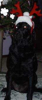 CountryNCity profile photo