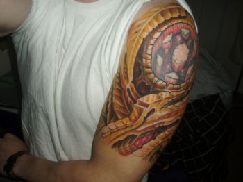 wizeguy502 profile photo