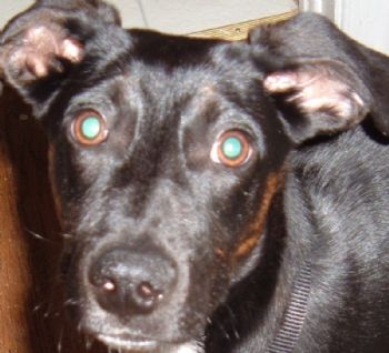 EmilyF profile photo