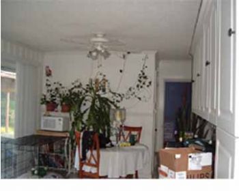 EmilyF profile photo