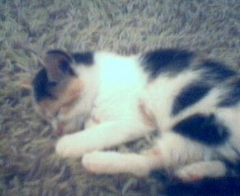 Martez profile photo