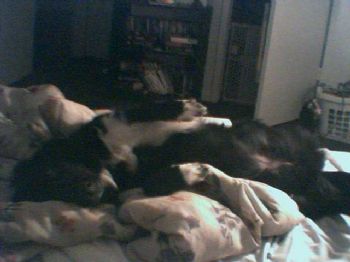 TrainFan profile photo