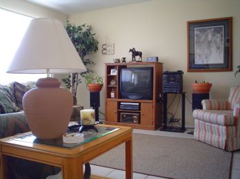 vsaika9563 profile photo