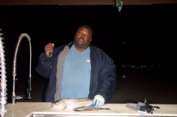 vegaslover profile photo