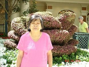 ng choy ying profile photo