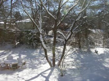 questmmv profile photo