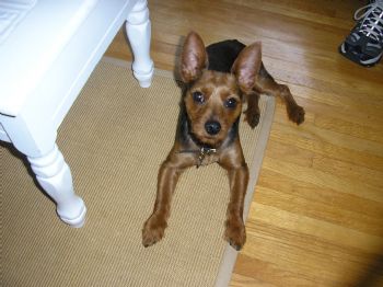 fish0373 profile photo