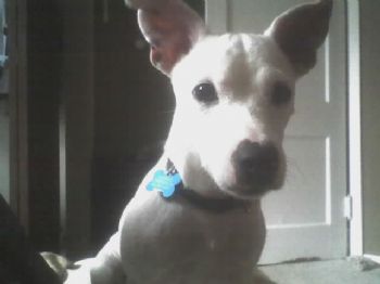 stonish_pe profile photo