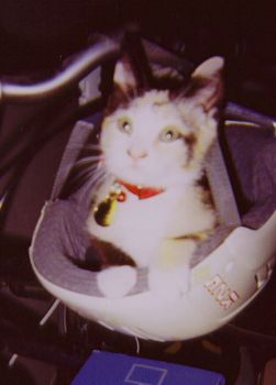 RachelH profile photo