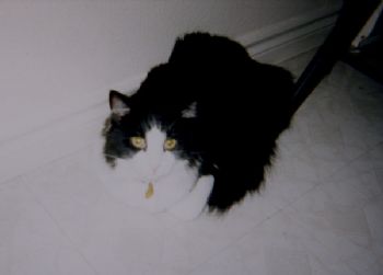 RachelH profile photo