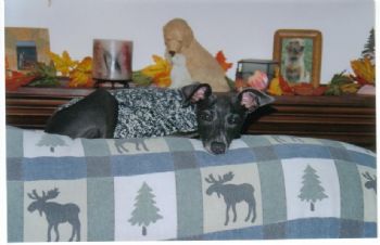 cornisevil profile photo