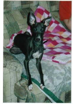 cornisevil profile photo