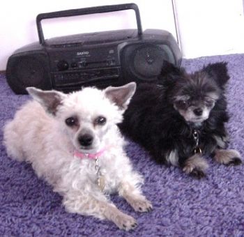 Beyondtheblu profile photo