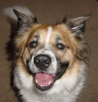 mrmotoring profile photo